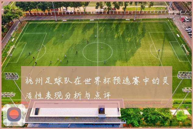 杭州足球队在世界杯预选赛中的灵活性表现分析与点评