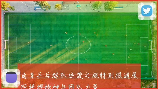 南京乒乓球队逆袭之旅特别报道展现拼搏精神与团队力量