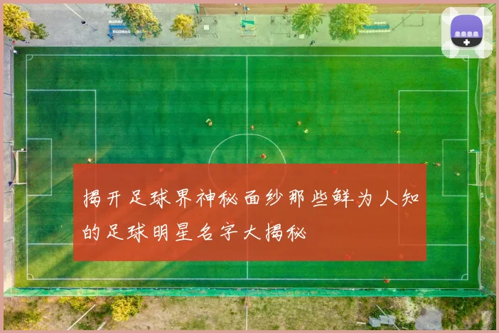 揭开足球界神秘面纱那些鲜为人知的足球明星名字大揭秘