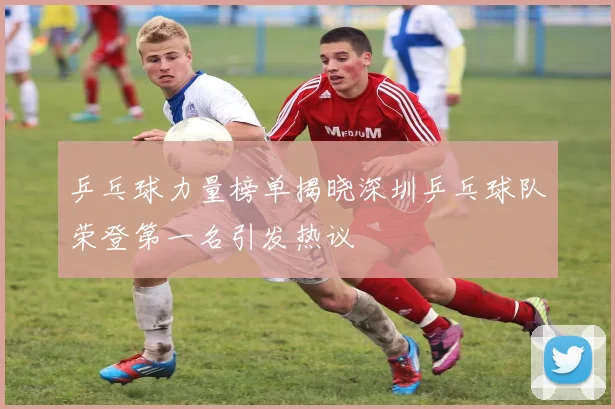 乒乓球力量榜单揭晓深圳乒乓球队荣登第一名引发热议