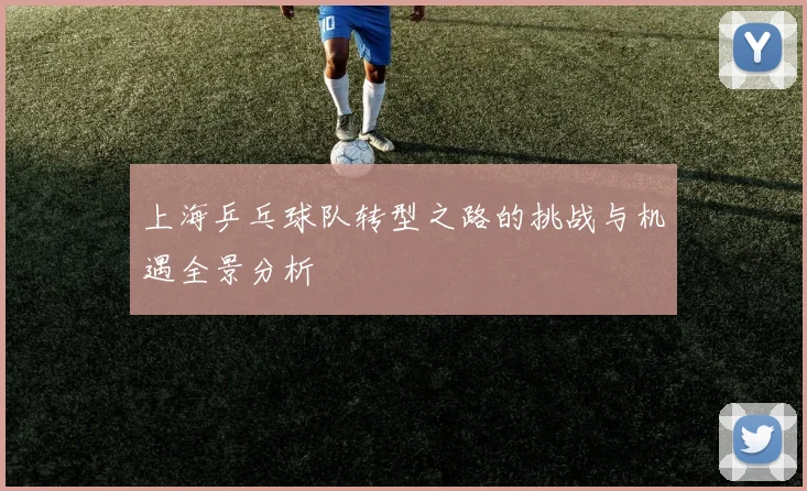 上海乒乓球队转型之路的挑战与机遇全景分析