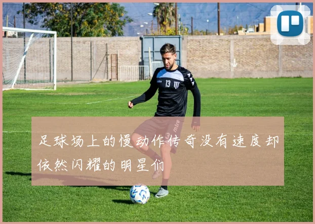 足球场上的慢动作传奇没有速度却依然闪耀的明星们