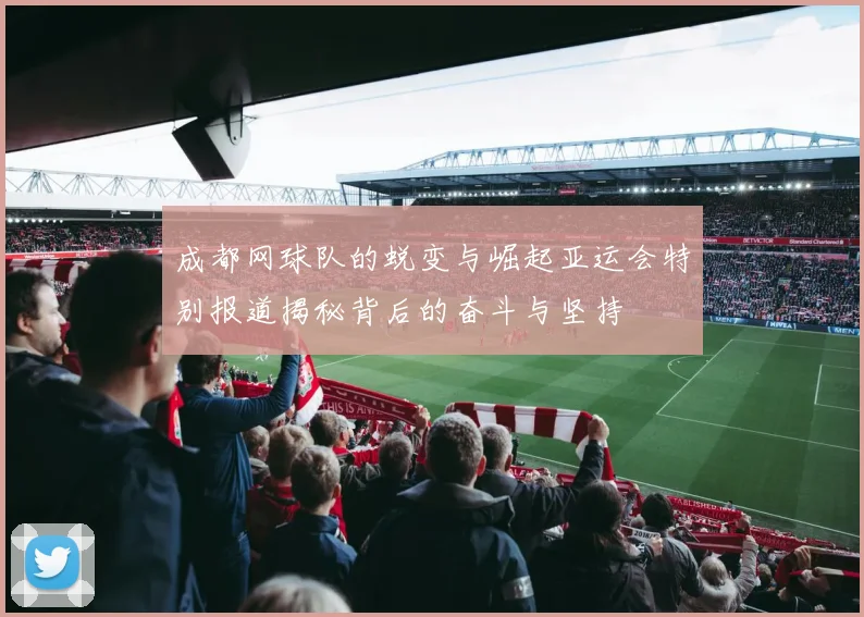 成都网球队的蜕变与崛起亚运会特别报道揭秘背后的奋斗与坚持