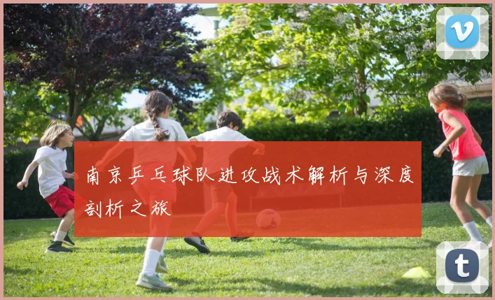 南京乒乓球队进攻战术解析与深度剖析之旅