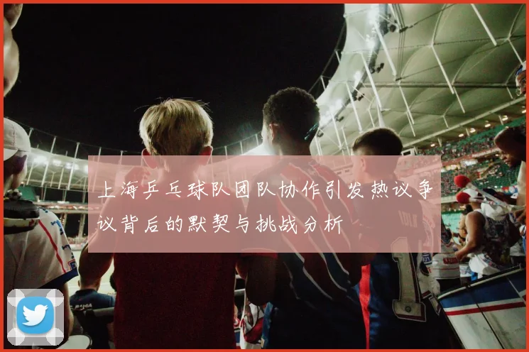 上海乒乓球队团队协作引发热议争议背后的默契与挑战分析