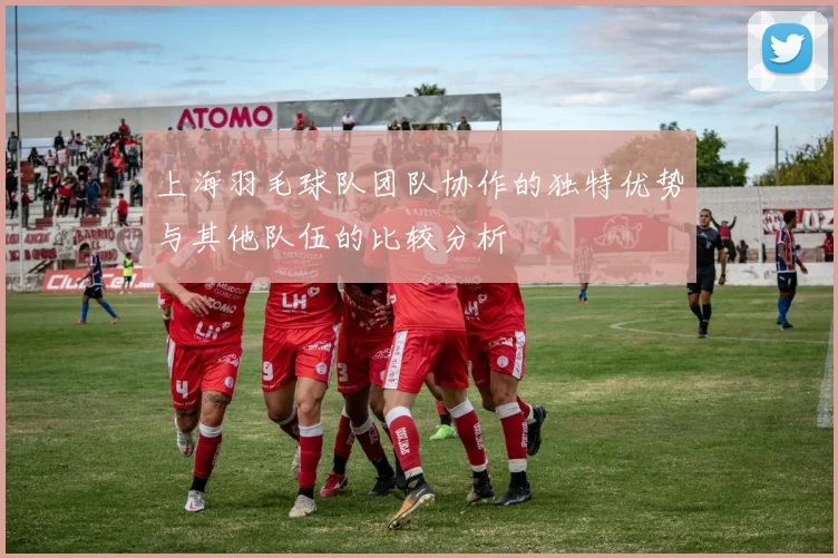 上海羽毛球队团队协作的独特优势与其他队伍的比较分析
