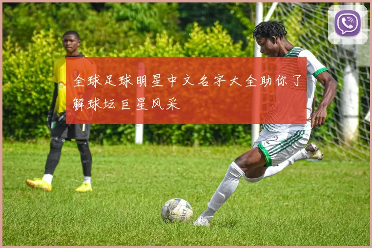 全球足球明星中文名字大全助你了解球坛巨星风采