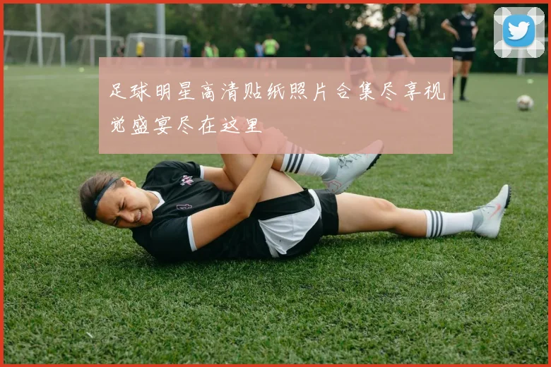 足球明星高清贴纸照片合集尽享视觉盛宴尽在这里