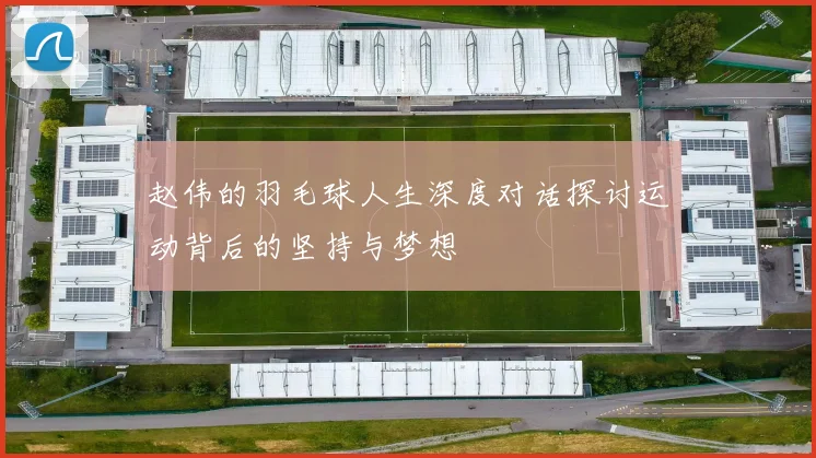 赵伟的羽毛球人生深度对话探讨运动背后的坚持与梦想