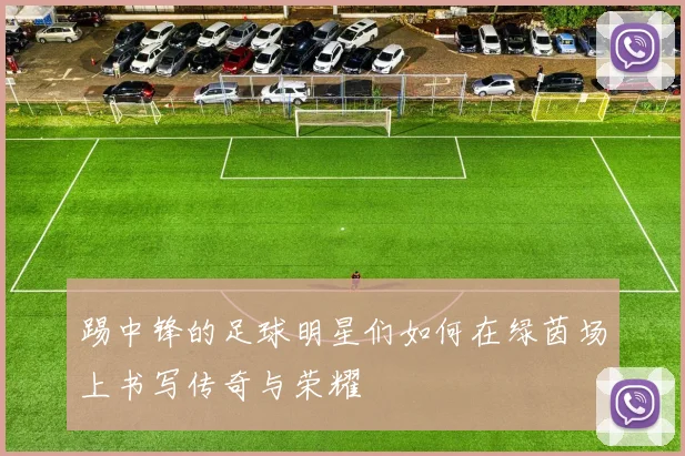 踢中锋的足球明星们如何在绿茵场上书写传奇与荣耀