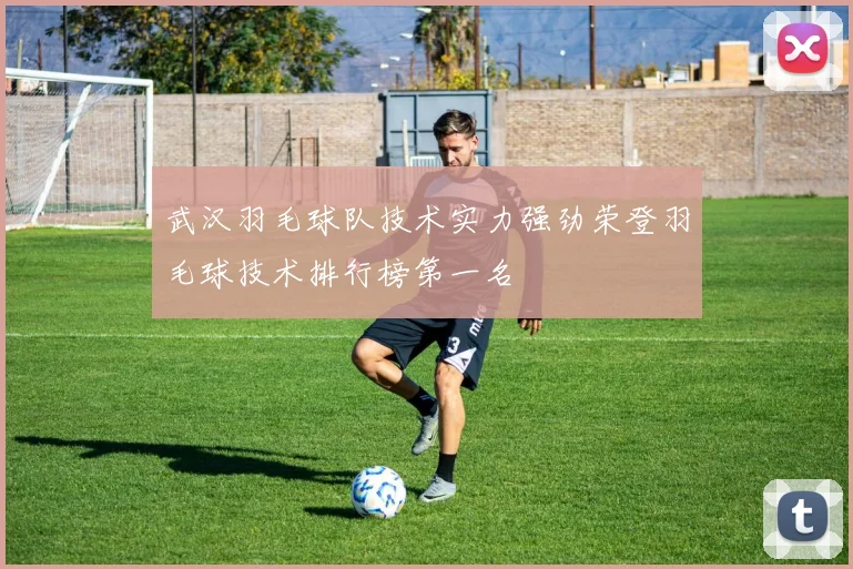 武汉羽毛球队技术实力强劲荣登羽毛球技术排行榜第一名