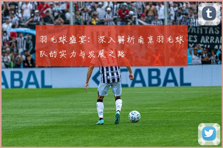 羽毛球盛宴：深入解析南京羽毛球队的实力与发展之路