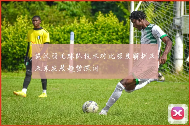 武汉羽毛球队技术对比深度解析及未来发展趋势探讨